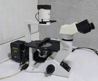 Olympus CKX41 Inverted Fluorescence Microscope Phase Contrast 3 Objectives