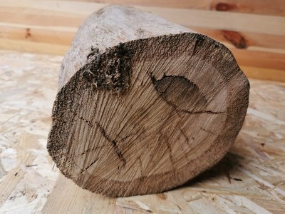 Eichenholz getrocknet Ø17cm x 34cm Drechselholz Bastelholz Deko Naturholz Eiche