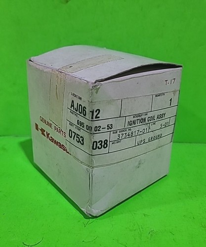 Bobina de encendido genuina Husqvarna 695000253 140BT 145BT Kawasaki 21171-2165 - Imagen 6 de 6