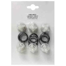 Karcher, Legacy, Hotsy Pump Valve Kit Complete, 9.802-603.0