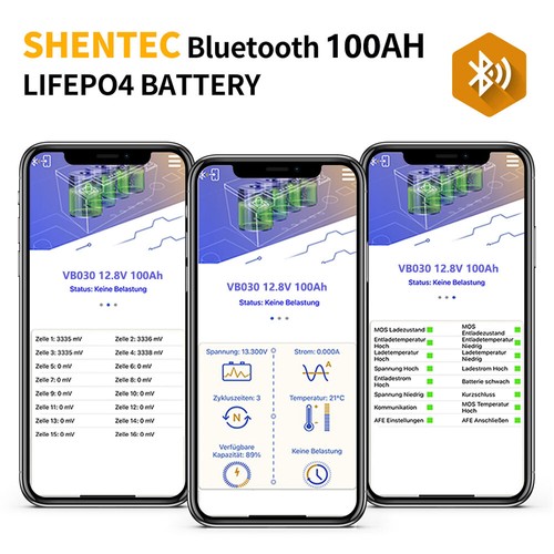 12V 50Ah 100Ah 200Ah 300Ah LiFePO4 Lithium Leisure Battery BMS Deep Cycle RV - Picture 3 of 29