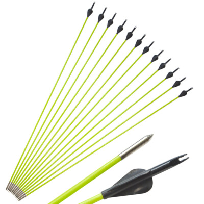 12pcs Fiberglass Arrows 30'' SP600 Archery Rubber Feathers Bow Shooting