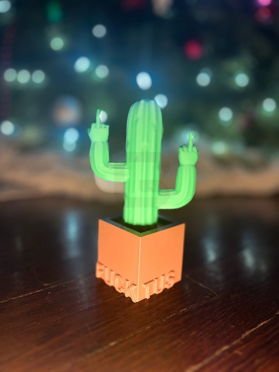 Fucktus 3D Printed Middle Finger Cactus Figurine - Funny Decor Gift - USA  Made | eBay