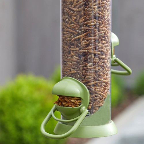 ChapelWood 30cm Twist Top Dried Mealworm Feeder eBay