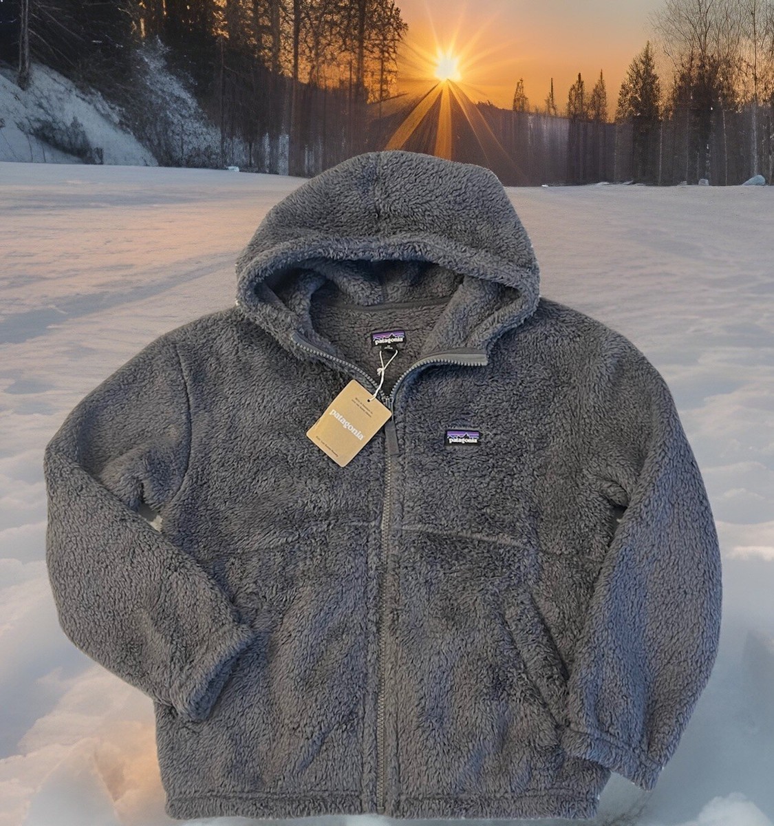 $99 Patagonia Kids Los Gatos Hoody Forge Grey Size XL Jacket Coat 