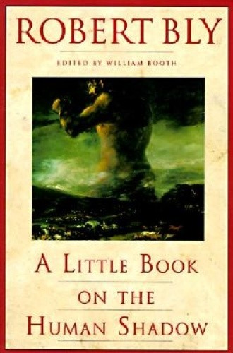 A Little Book on the Human Shadow by Robert Bly [Paperback] | eBay.de