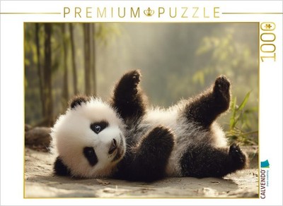 CALVENDO Puzzle Wenn kleine Pfoten große Herzen erobern | 1000 Teile Lege-Größe