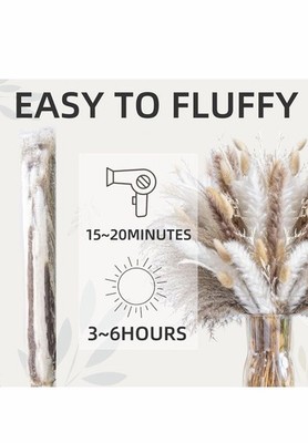 Stunning 440PCS Pampas Grass Mix - Eco-Friendly Dried Flowers for Rustic Decor