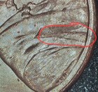 2024-P Lincoln Cent Die Crack Error Obverse — photo 2