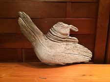 Beautiful 11" DRIFTWOOD Art Piece Terrarium Taxidermy Aquarium Beach DECOR