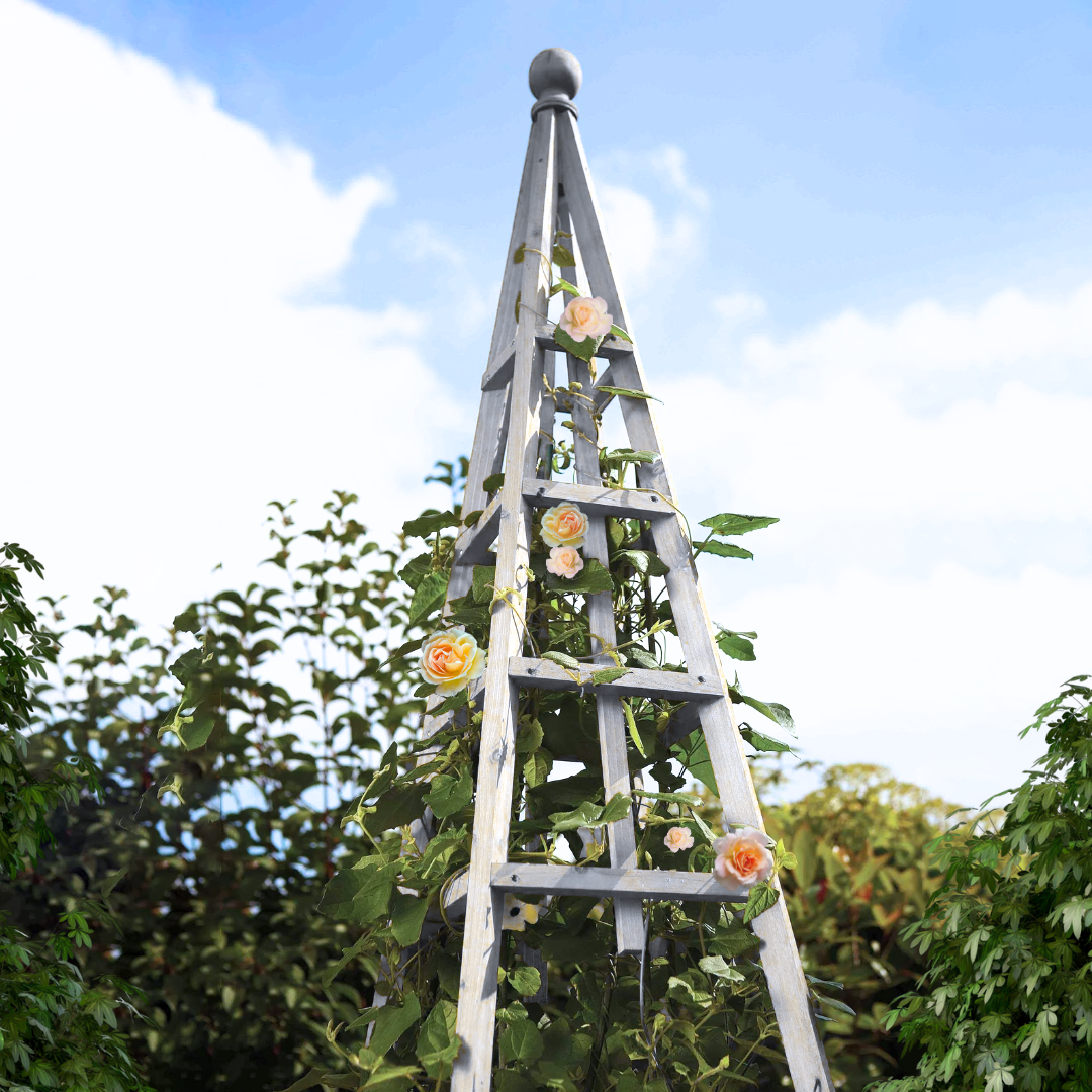 70s macrame plant hanger 3-Tier Macramé Plant Hanger – Kay and Rose Designs main image 0