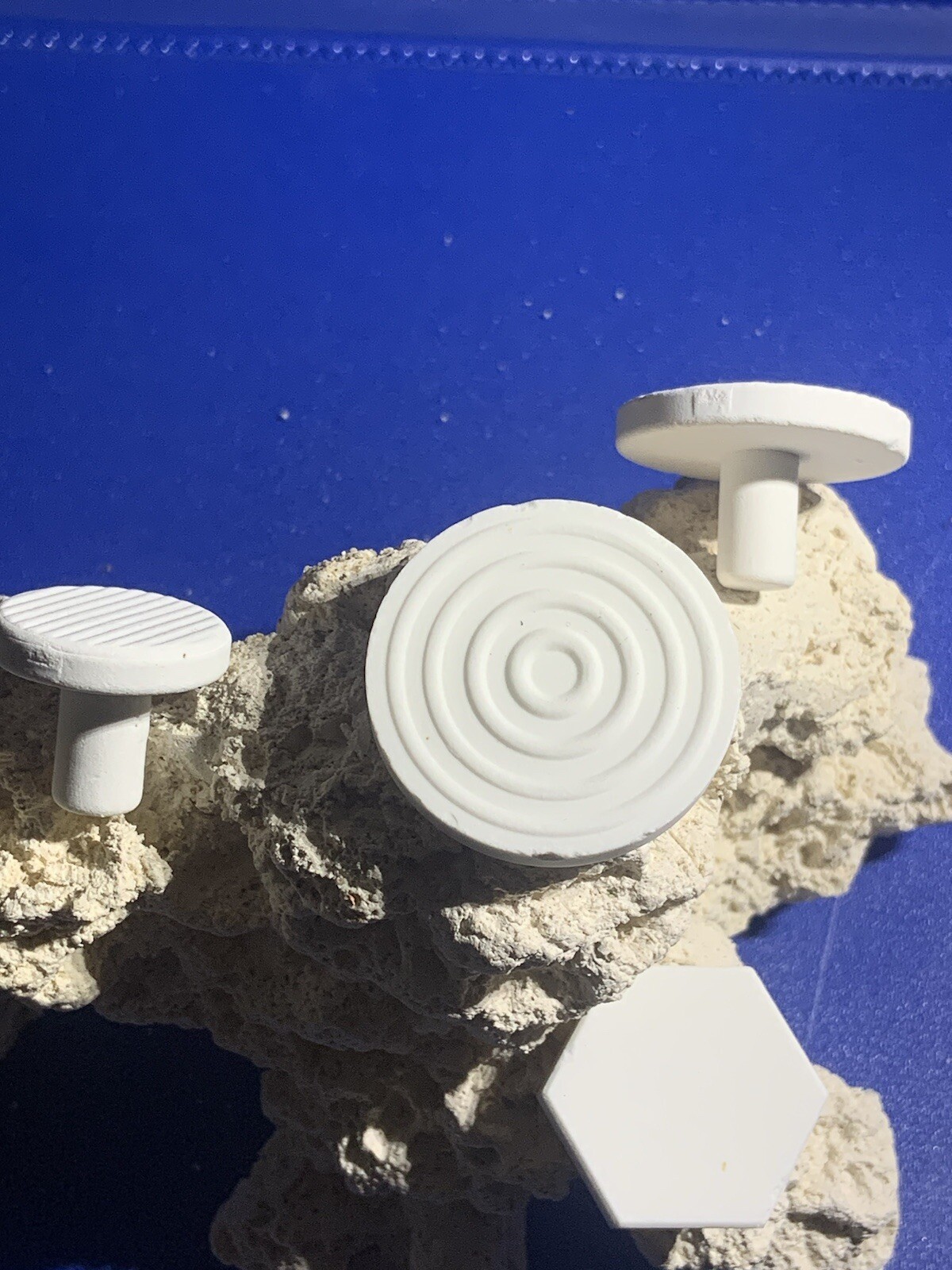 100  CURED REEF DISKS FOR LIVE CORAL FRAG PROPAGATION 1.39 inch Round