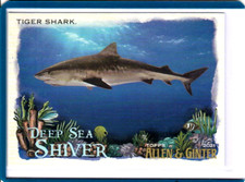 Tiger Shark 2021 Topps Allen & Ginter World's Champions Deep Sea Shiver DSS-4
