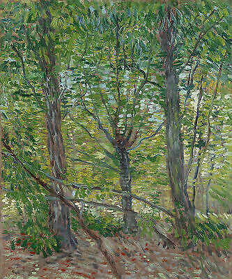 Trees Vincent van Gogh Bäume Stamm Äste Pflanzen Wald Weg Blumen B