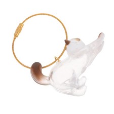 Transparent Cat Hair Storage Box Pet Hair Keepsake Keychain For Pet Memorial