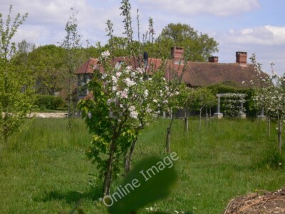 Foto 6x4 Obstbäume in Blüte Kugeln Kreuz\/SU9826 Diese sind von unbenannt c2010