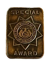 State Board Of Health Missouri Special Award Service Pin