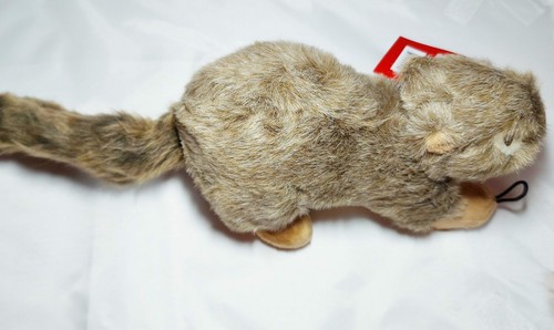 fluff and tuff squirrel