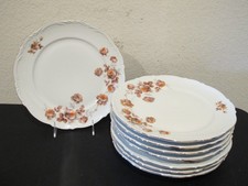  8 Mitterteich Bavaria Norway Rose Dinner Plates
