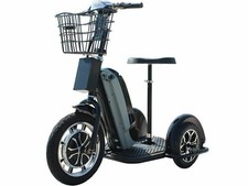 Mototec Electric Trike 48v 800w Sit/Stand -MT-TRK-800 -Certified for California