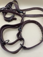 Leather Martingale Collar With Training Leash 64  
