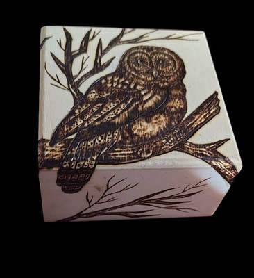 Barred Owl Pyrography Art On A Wooden Jewelry Box One Of A Kind