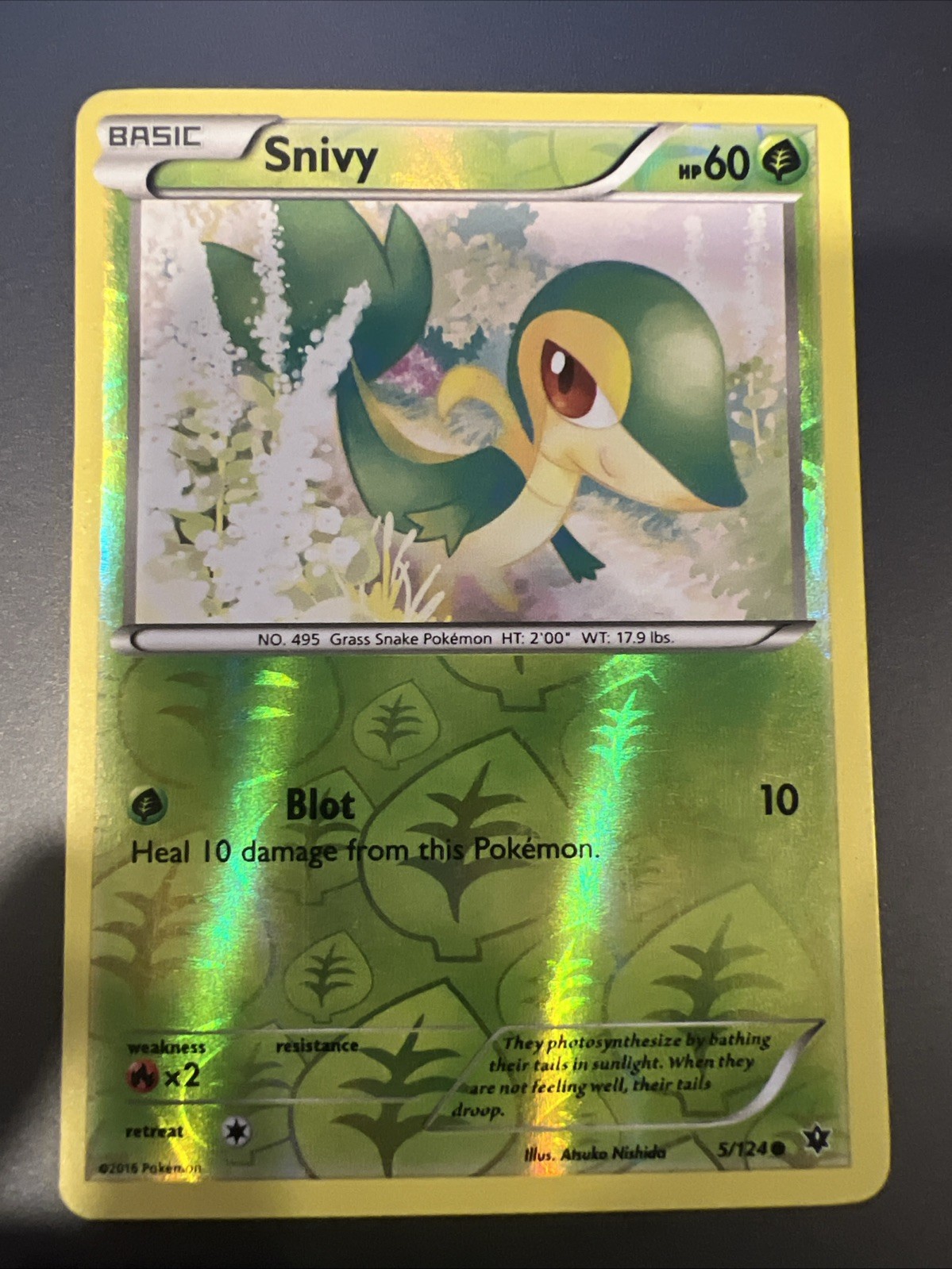 Snivy Reverse Holo 5/124 XY Fates Collide 2016 - Pokémon TCG LP