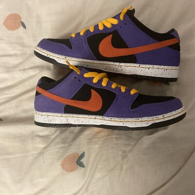 Size 11 - Nike Dunk Pro SB Low ACG Terra
