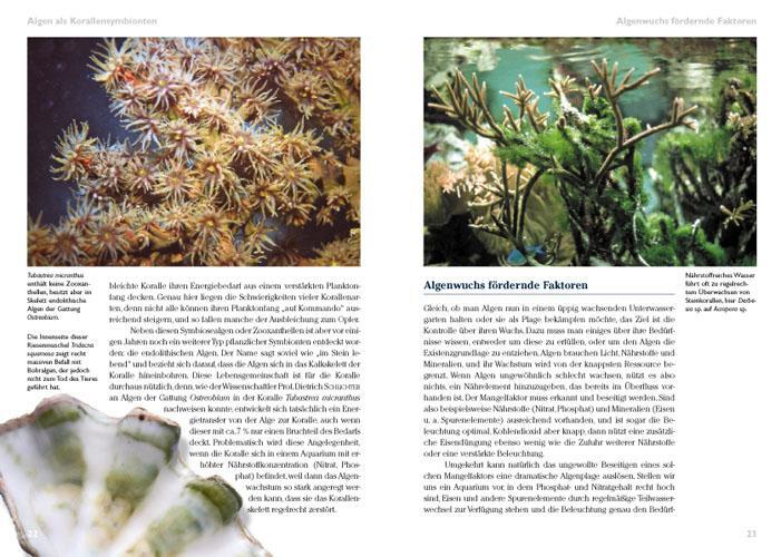 Thumbnail - Algen Meerwasseraquarium Daniel Knop 9783866590540