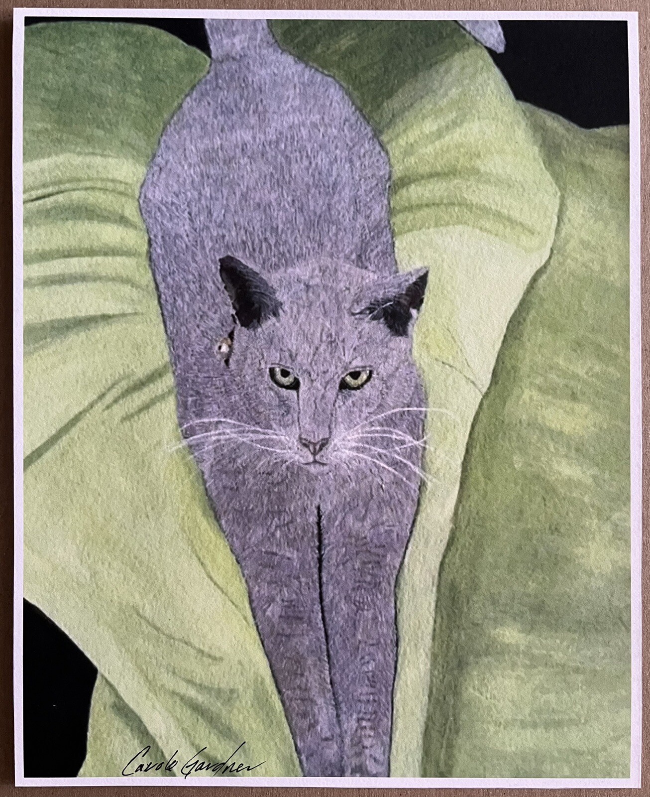 Claude - Hand signed, numbered print by artist 8” x 10