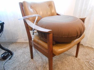 Personal Cushion Chair Lift Made In The Usa Portable Inflatable Lifting Chair Ebay