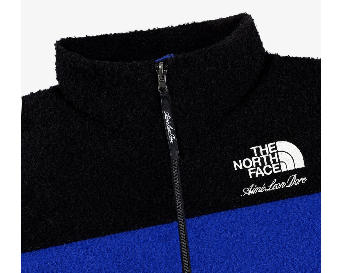 IN HAND* AIME LEON DORE X THE NORTH FACE CASENTINO NUPTSE JACKET