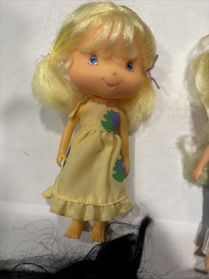 Lote de 3 muñecas Strawberry Shortcake Berry Best Friends Hasbro 2005 Island Friend Foto 3 de 4