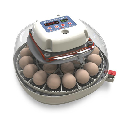 Nurture Right Egg Incubator for Hatching Chicks, Holds 12-22 Eggs, Automatic Tur