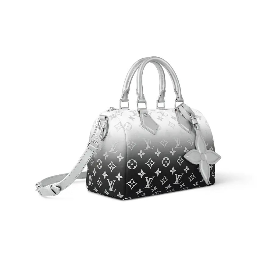 LOUIS VUITTON SKI Speedy 25 Shoulder Bag Handbag Women's 9.8x5.9x7