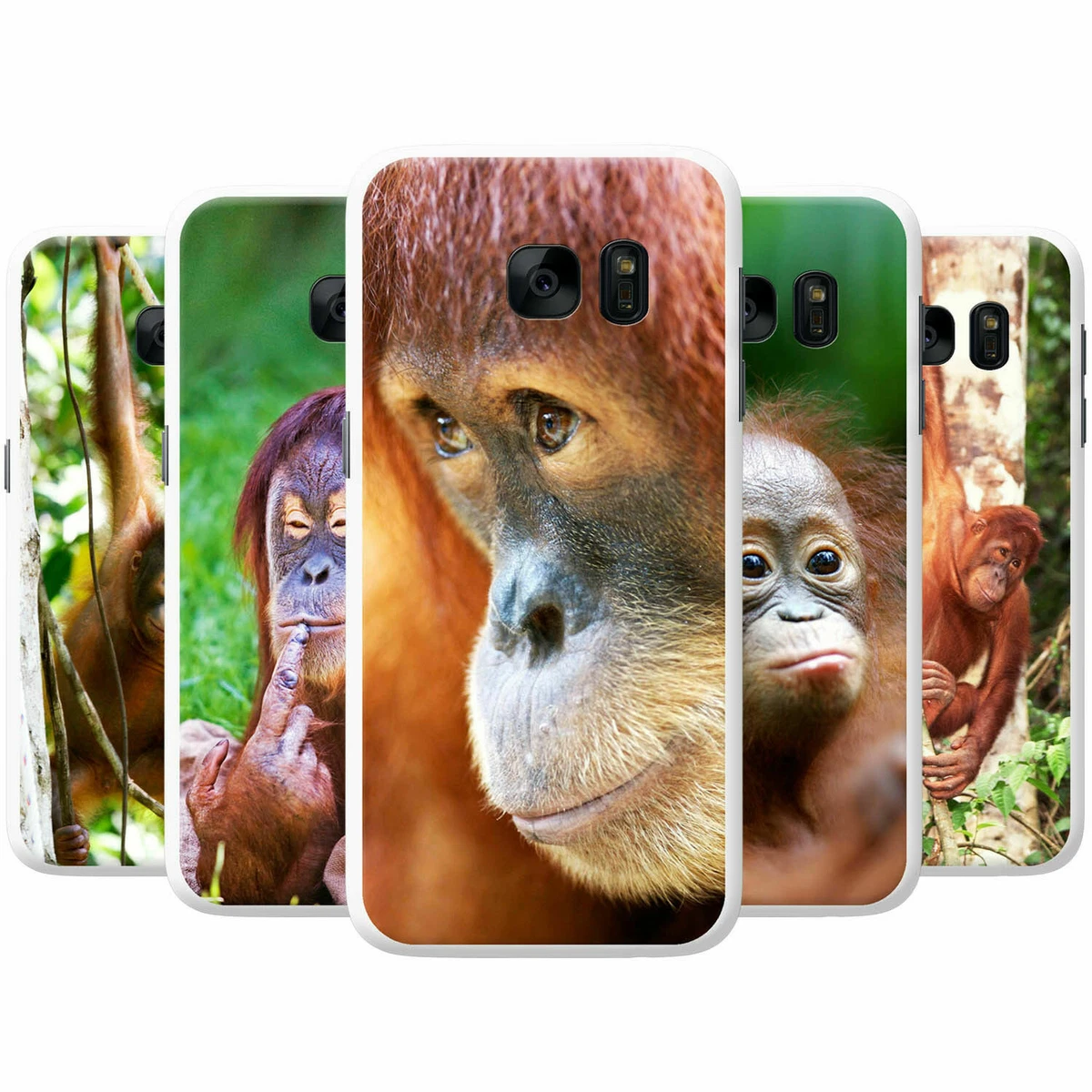 Lg phone cases sale