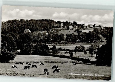 39240403 - 4773 Voellinghausen Moehnetal Rinderweide Soest LKR