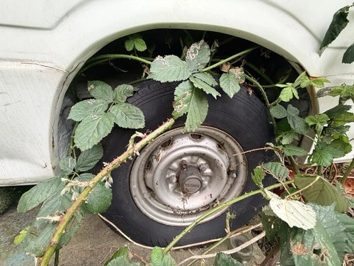 Toyota Hiace - Camper Van - High Top - Low Mileage- Automatic- Project - Picture 4 of 5