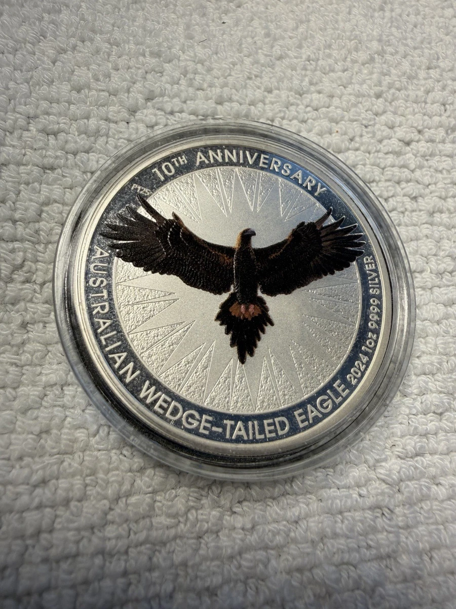 Wedge Tailed Eagle for sale | eBay