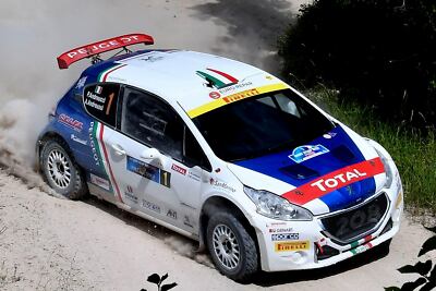 PEUGEOT 208 R5 PRINCEN SPA RALLY 2016  DECALS 1//43