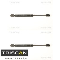2X Gasfeder FüR Koffer-/Laderaum Triscan 871023221 DäMpfer GasdäMpfer