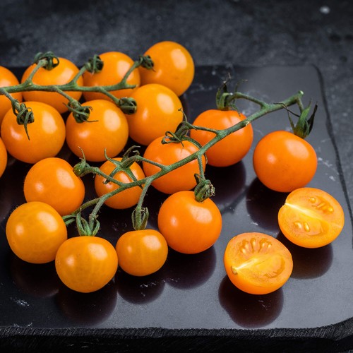 SunSugar F1 Hybrid Tomato Seeds | Extremely Sweet | Free Shipping | 1309