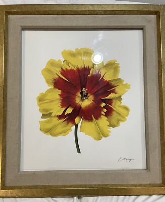 Trowbridge Gallery Charlotte Morgan Fine Art Giclee Print Tulip Watercolor