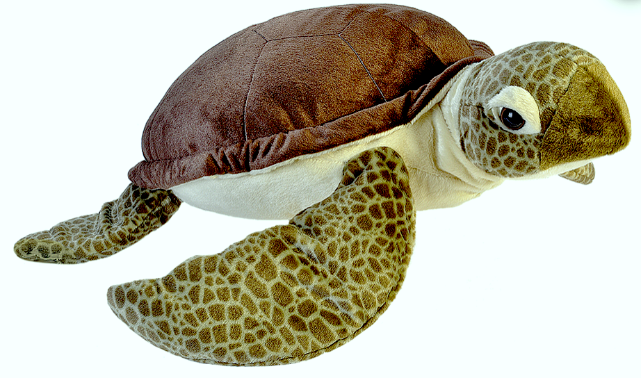 sea turtle stuffed animal