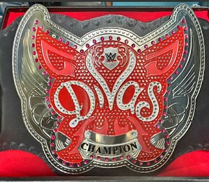 Wwe Divas World Wrestling Entertainment Women S Championship Adult Replica Belt Ebay