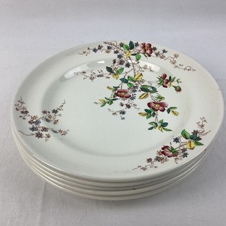 Vintage Copeland Spode Thelma Floral Pattern Plates Set of 5 Plate CP#8801