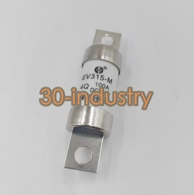 QTY:10 New For EV315-M4Q100A DC500V 100A Fuse #qm