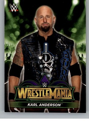 2018 TOPPS ROAD TO WRESTLEMANIA ROAD TO WRESTLEMANIA 34 ROSTER #R-20 KARL ANDERS