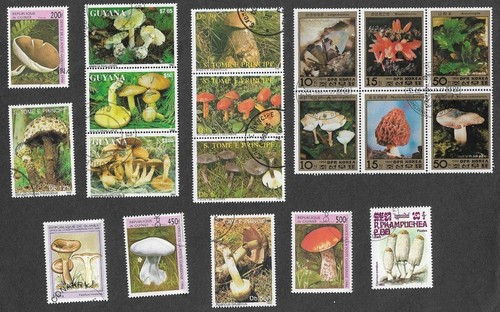 MUSHROOMS/FUNGI ON STAMPS COLLECTION 100 ALL DIFFERENT 30/5/25 A - Picture 2 of 2