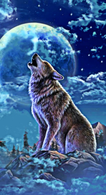 Night Wolf Full Moon Beach Bath Towel 30'' x 60'' Wolves 100% Cotton